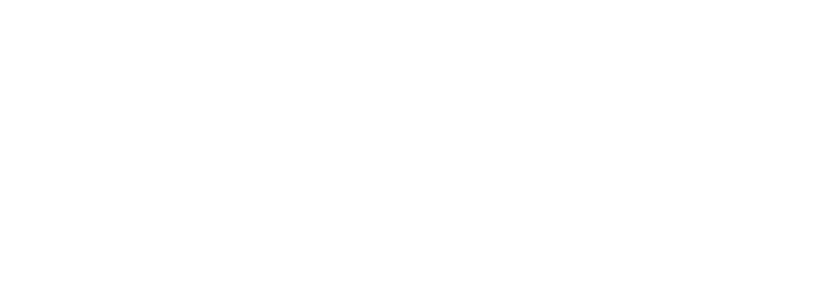 Milton Friedman Institute