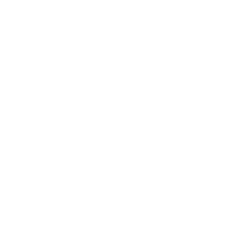 Students Supporting Israel (SSI)