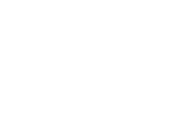Maccabee Task Force (MTF)