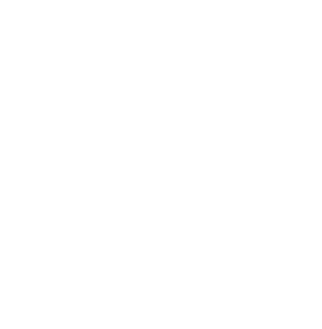 Organized Jewish Youth (JJO)