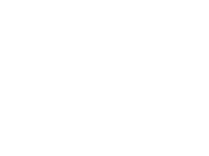 Our Fight