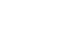 WIZO - Women's International Zionist Organization
