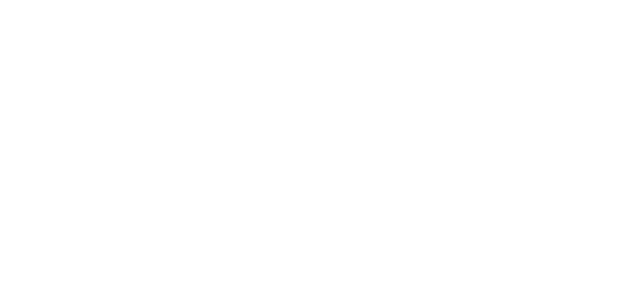 Toronto Zionist Council (TZC)