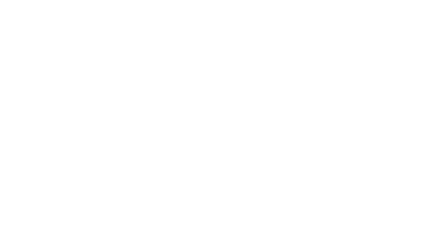 WerteInitiative